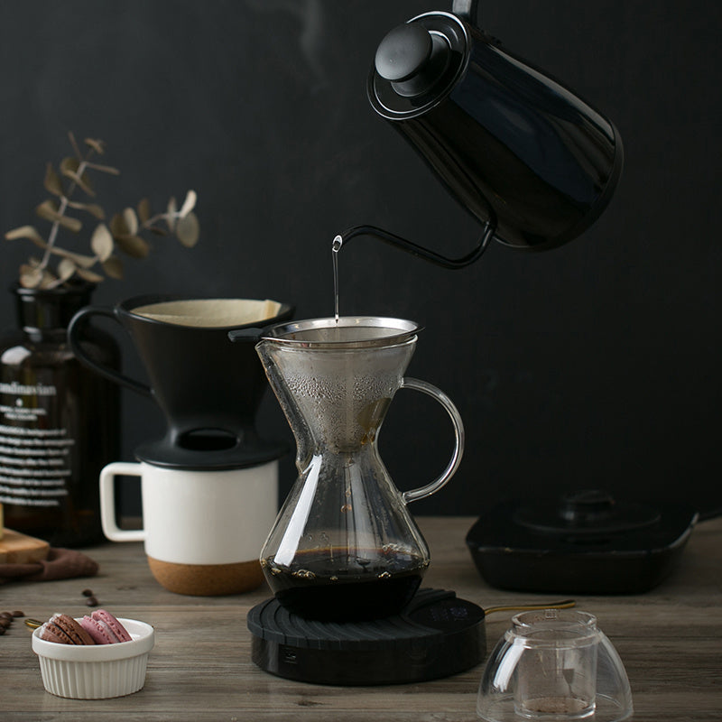 Reusable Coffee Dipper & Filter Set