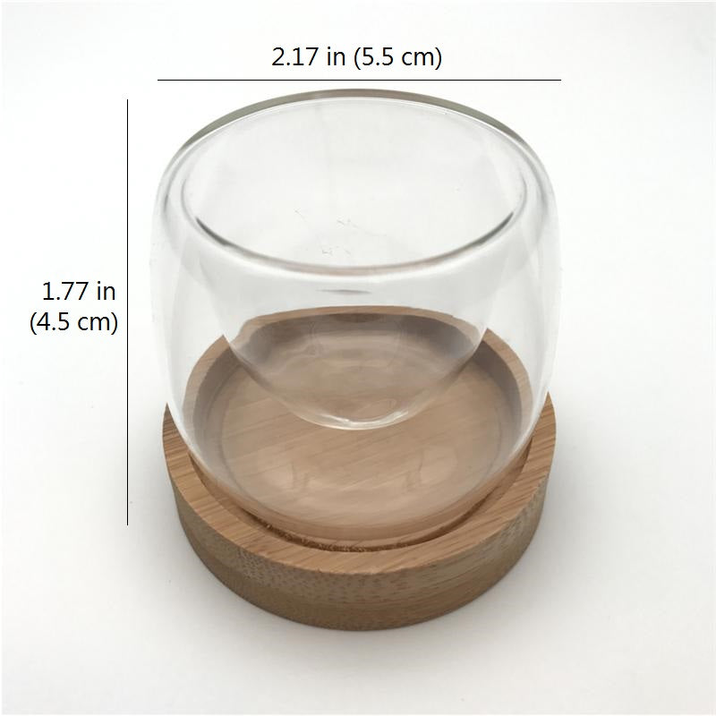 Double Wall Glass Tea Cup with Bamboo Coaster