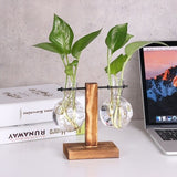 Tabletop Hydroponic Plant Vase with Wooden Base