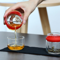 Capsule Style Portable Glass Tea Brewing Set