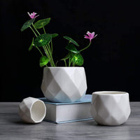 Paragon Diamond Ceramic Succulent Pot