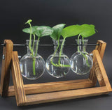 Tabletop Hydroponic Plant Vase with Wooden Frame Stand