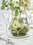 Dodecahedron Geometric Tabletop Glass Terrarium
