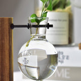 Tabletop Hydroponic Plant Vase with Wooden Base