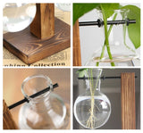 Tabletop Hydroponic Plant Vase with Wooden Base