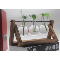 Tabletop Hydroponic Plant Vase with Wooden Frame Stand