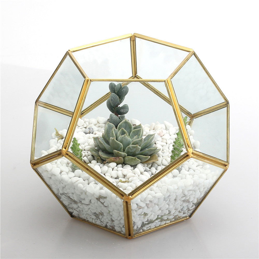 glass terrarium tabletop planter Dodecahedron Geometric Tabletop Glass Terrarium – Yes Please n Thank You
