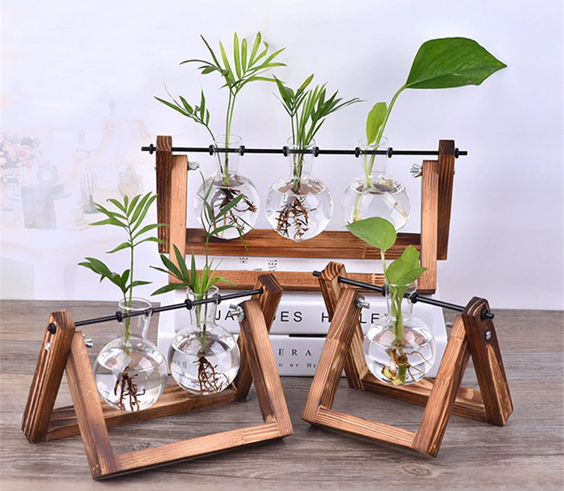 Tabletop Hydroponic Plant Vase with Wooden Frame Stand