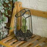 Natural Crystal Point Style Tabletop Glass Terrarium