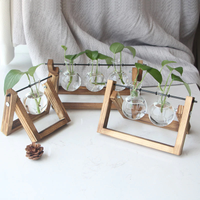 Tabletop Hydroponic Plant Vase with Wooden Frame Stand