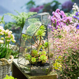 Natural Crystal Point Style Tabletop Glass Terrarium
