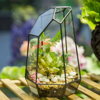 Natural Crystal Point Style Tabletop Glass Terrarium