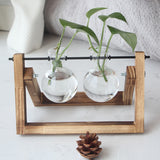 Tabletop Hydroponic Plant Vase with Wooden Frame Stand