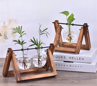 Tabletop Hydroponic Plant Vase with Wooden Frame Stand