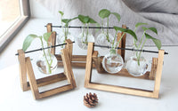 Tabletop Hydroponic Plant Vase with Wooden Frame Stand