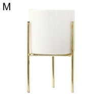 Minimalist Tabletop Plant Stand