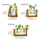 Tabletop Hydroponic Plant Vase with Wooden Frame Stand