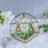 Dodecahedron Geometric Tabletop Glass Terrarium