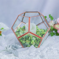 Dodecahedron Geometric Tabletop Glass Terrarium