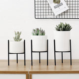 Minimalist Tabletop Plant Stand