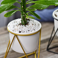 Minimalist Geometric Plant Stand