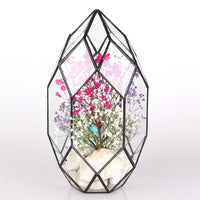Symmetrical Crystal Point Style Tabletop Glass Terrarium