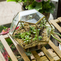 Dodecahedron Geometric Tabletop Glass Terrarium