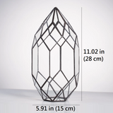Symmetrical Crystal Point Style Tabletop Glass Terrarium