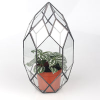 Symmetrical Crystal Point Style Tabletop Glass Terrarium