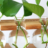 Mini Bracket Stool Style Tabletop Hydroponic Plant Vase